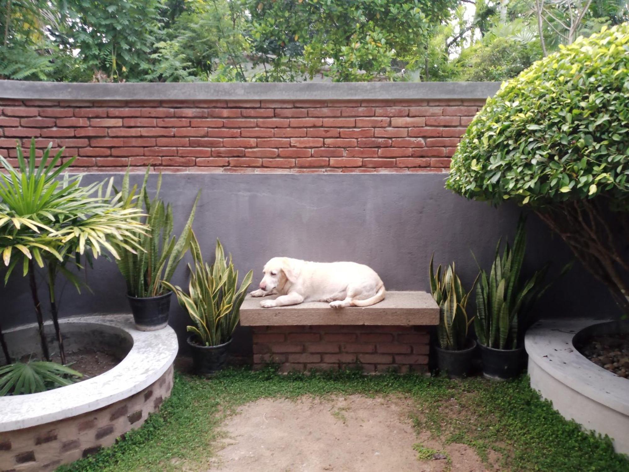 The Brick Wonder Hotel Habaraduwa ภายนอก รูปภาพ